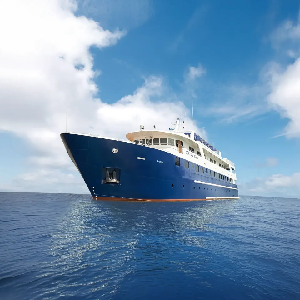 Blue Manta, 45 m N/A, 14 cabins for 22 guests