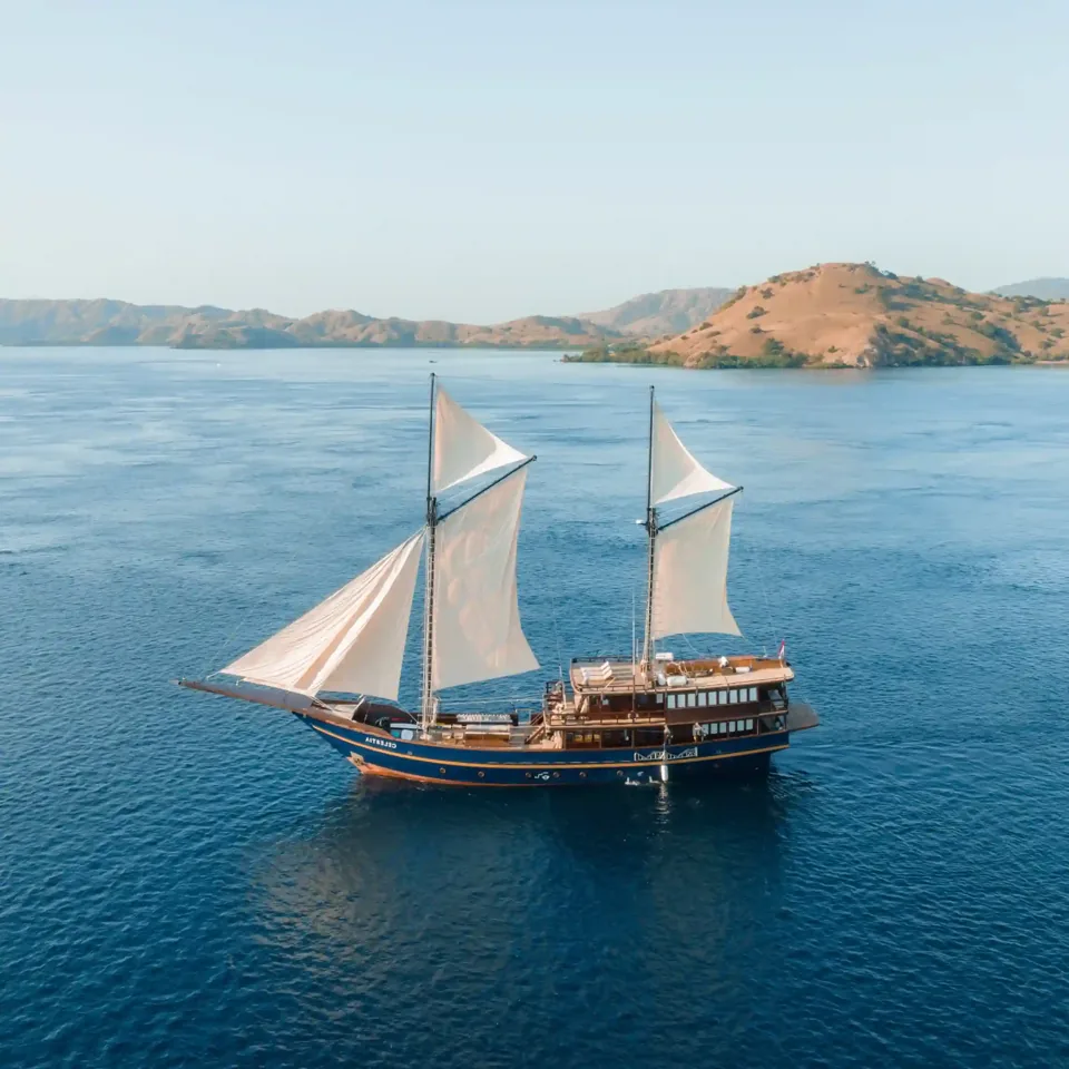 Celestia, 45 m, 7 cabins