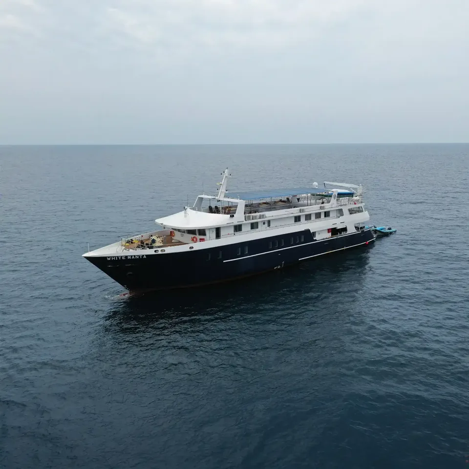 White Manta, 46 m N/A, 14 cabins for 24 guests